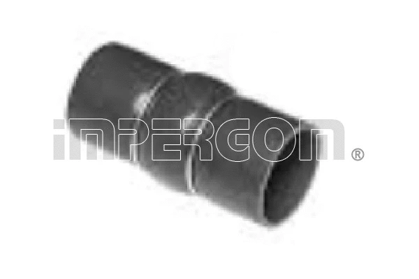 Charge Air Hose (224817)