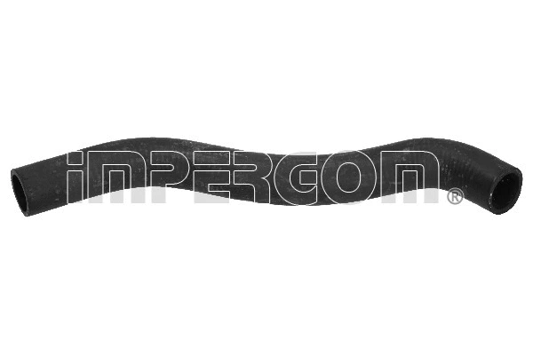 Radiator Hose (220722)