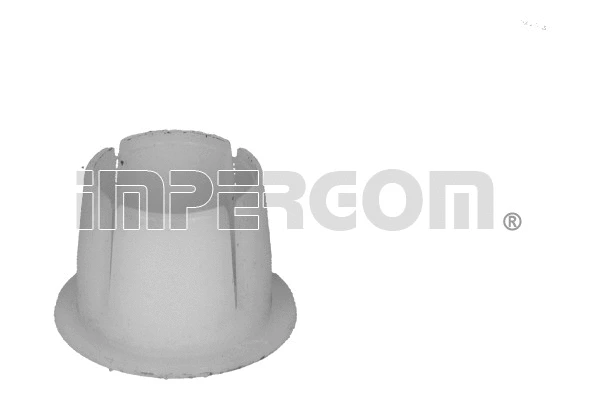 Bushing, selector/shift rod (30291)