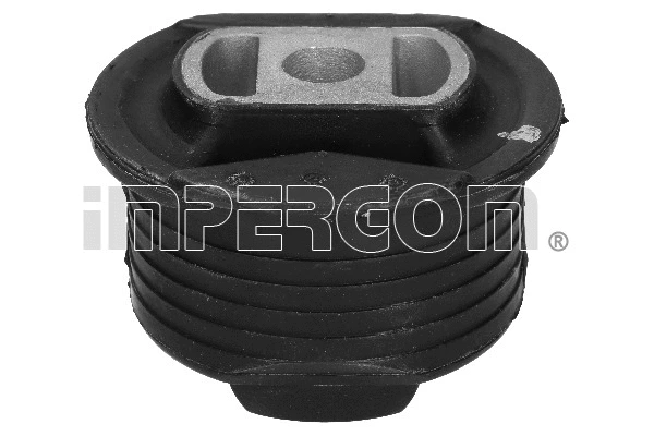 Bushing, axle beam (31883)