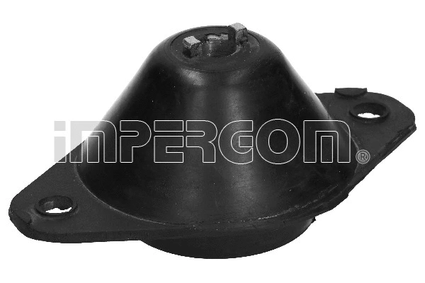 Mounting, manual transmission (31589)