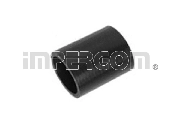 Charge Air Hose (225794)