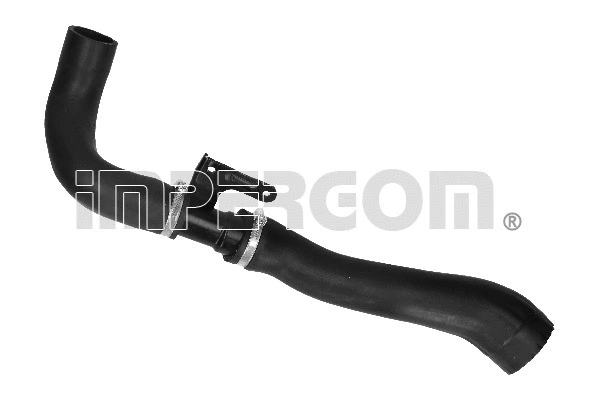 Charge Air Hose (224175)