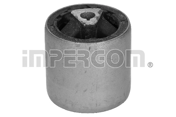 Mounting, control/trailing arm (1646)