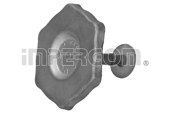 Sealing Cap, oil filler neck (29627)