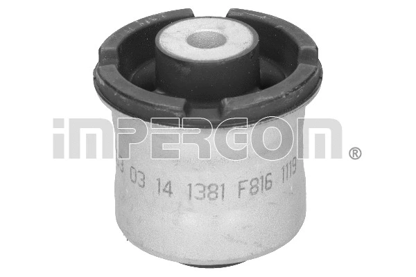 Mounting, control/trailing arm (1381)