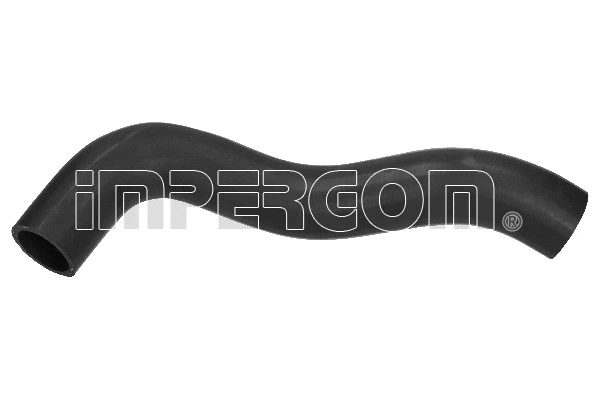Radiator Hose (21962)