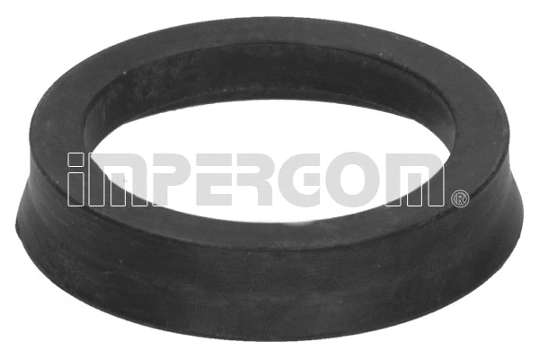 Bushing, selector/shift rod (27444)