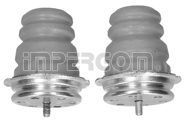 Dust Cover Kit, shock absorber (51065)