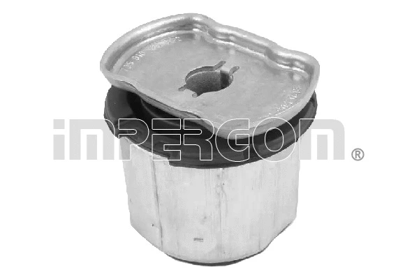 Bushing, axle beam (34211)