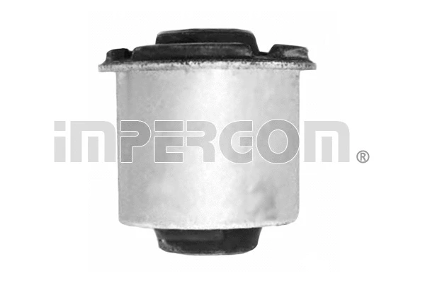 Mounting, control/trailing arm (1538)