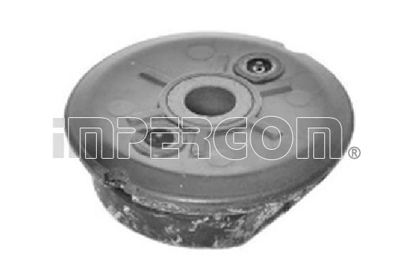 Mounting, leaf spring (37879)