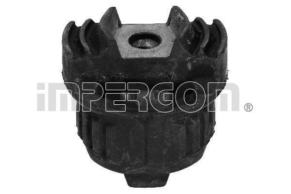 Bushing, axle beam (35755)
