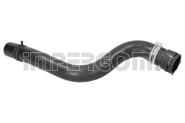 Radiator Hose (224173)