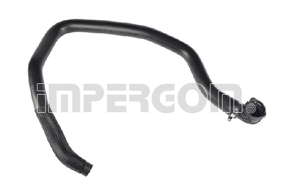 Radiator Hose (230242)
