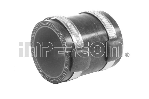 Charge Air Hose (220849)