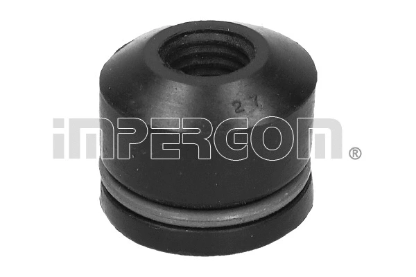 Seal Ring, valve stem (31360)