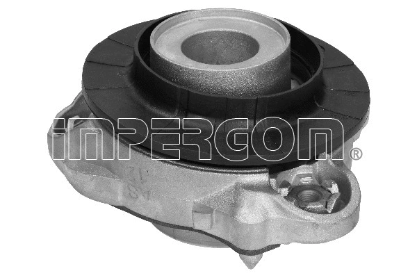 Repair Kit, suspension strut support mount (29169)