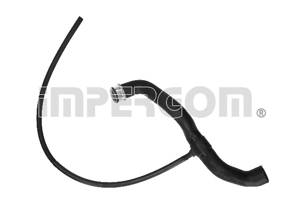 Radiator Hose (222546)