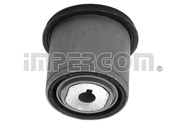 Mounting, control/trailing arm (1912)