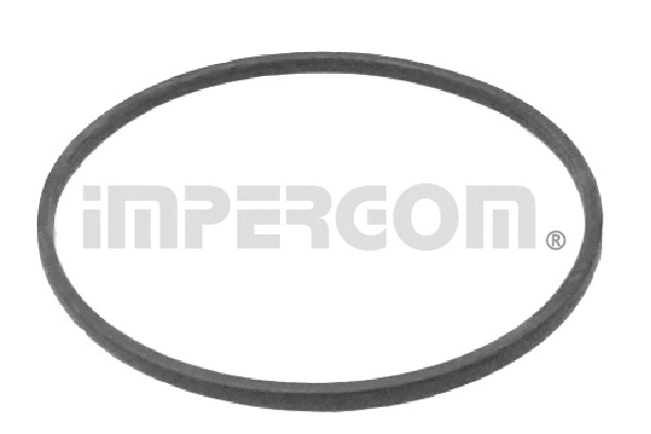 Gasket, fuel pump (25207)