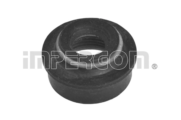 Seal Ring, valve stem (31241)