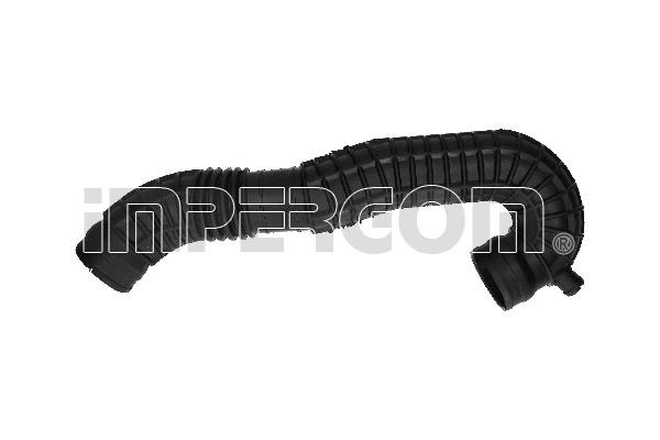 Intake Hose, air filter (19618)