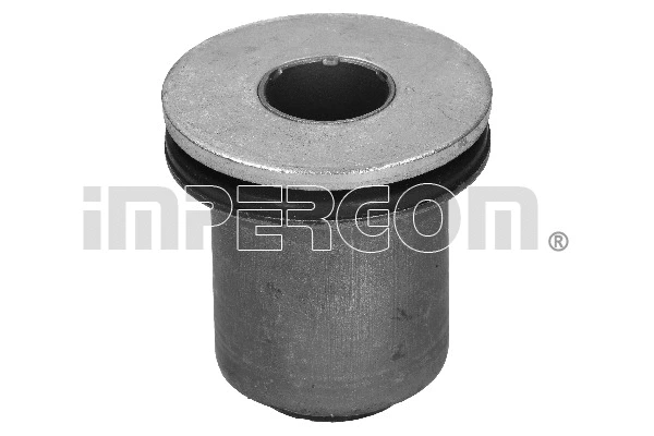 Mounting, control/trailing arm (1885)