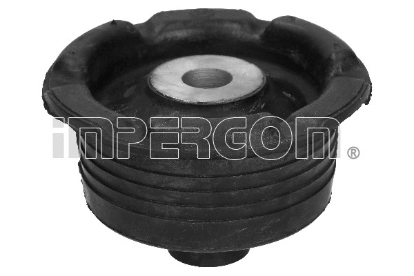 Bushing, axle beam (31368)