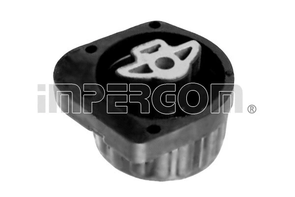 Mounting, automatic transmission (31703)