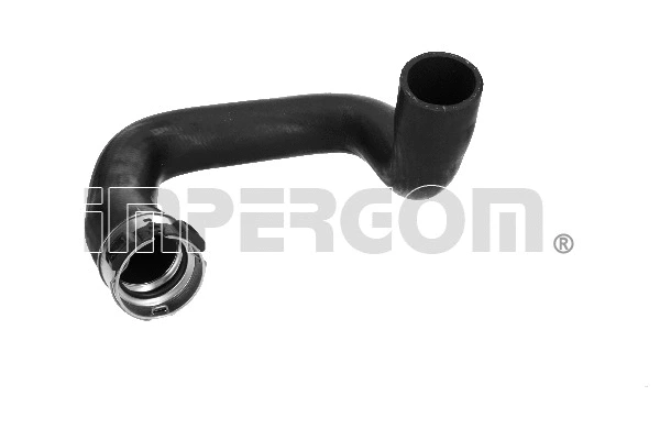 Charge Air Hose (17180)