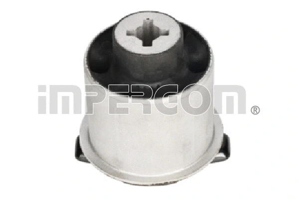 Bushing, axle beam (700016)