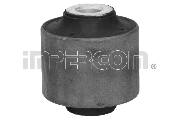 Mounting, control/trailing arm (1300)