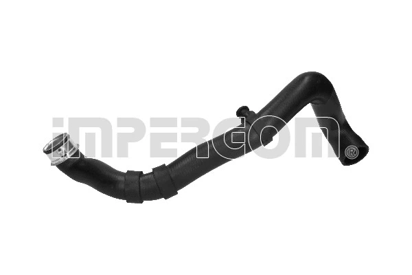 Radiator Hose (222564)