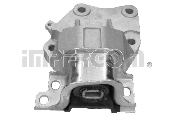 Mounting, engine (29991)