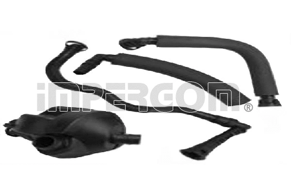 Repair Kit, crankcase ventilation (4828)