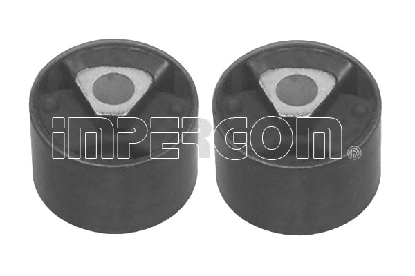 Mounting and Bolting Kit, control/trailing arm (30824)