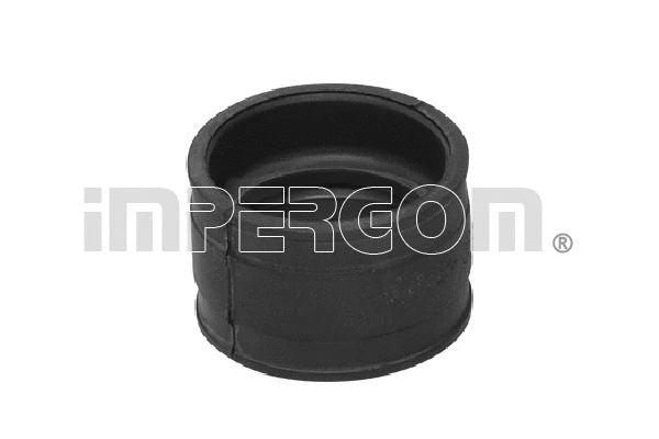 Charge Air Hose (223897)