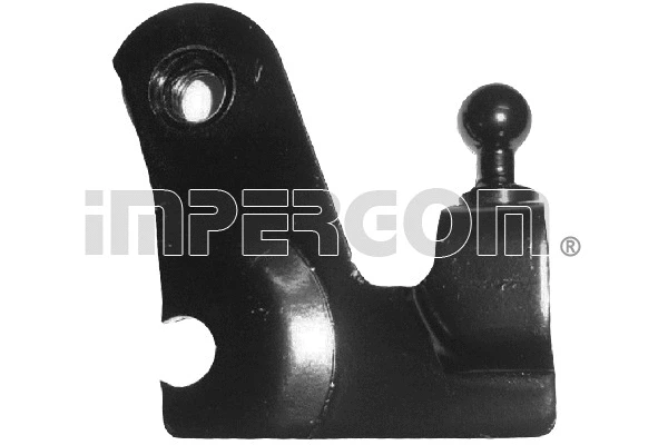 Selector-/Shift Rod (34945)