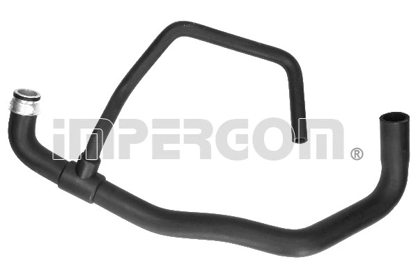 Radiator Hose (222938)
