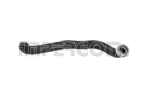 Radiator Hose (222591)