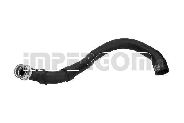 Radiator Hose (222588)