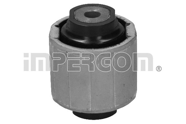 Mounting, control/trailing arm (1201)