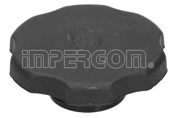 Sealing Cap, oil filler neck (43044)