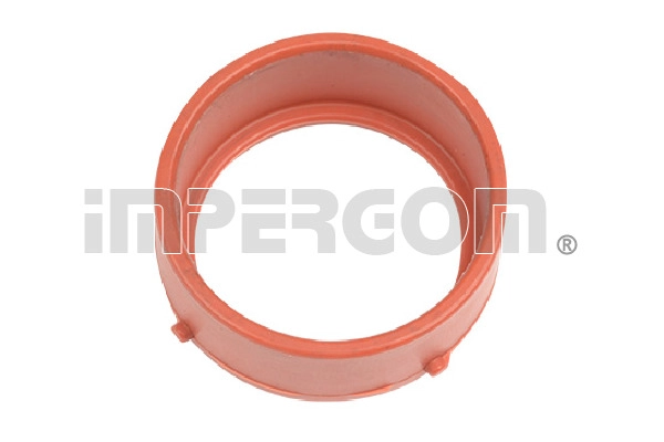 Seal Ring, charge air hose (230392)
