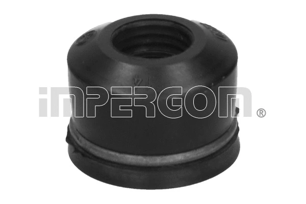 Seal Ring, valve stem (30123)