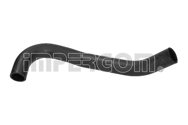 Radiator Hose (220410)