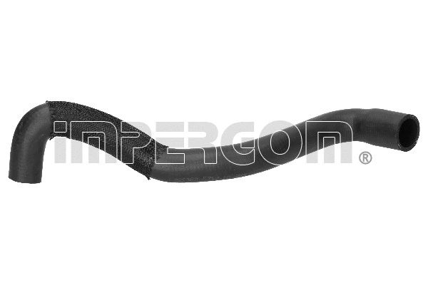 Radiator Hose (221589)