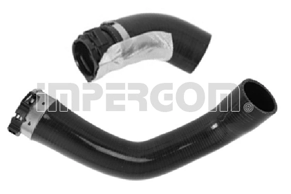 Charge Air Hose (224793)