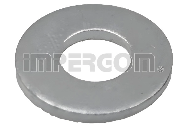 Seal Ring, injector (610328)